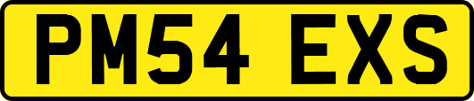 PM54EXS