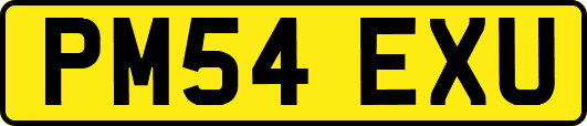 PM54EXU