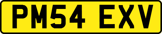 PM54EXV