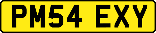 PM54EXY