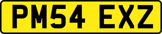 PM54EXZ