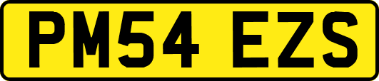 PM54EZS