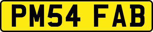 PM54FAB