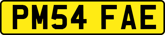 PM54FAE