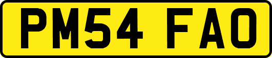 PM54FAO