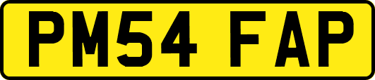 PM54FAP