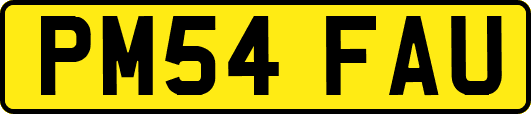 PM54FAU