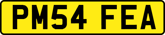 PM54FEA