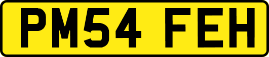 PM54FEH