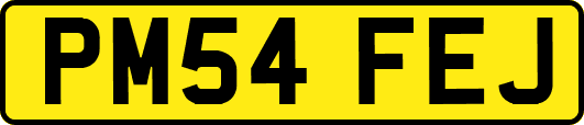 PM54FEJ