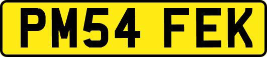 PM54FEK