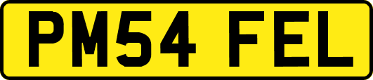 PM54FEL