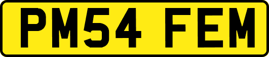 PM54FEM