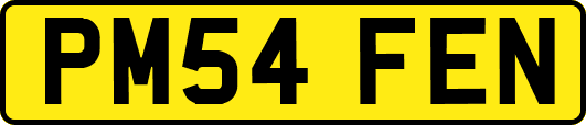 PM54FEN