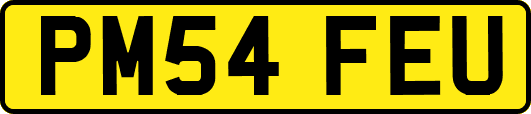PM54FEU