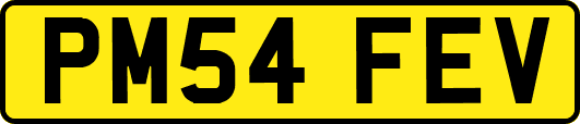 PM54FEV
