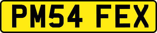 PM54FEX