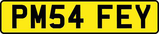 PM54FEY