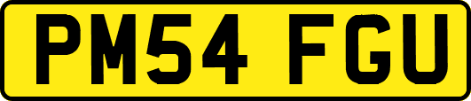 PM54FGU