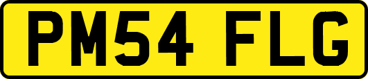 PM54FLG