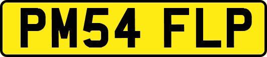 PM54FLP