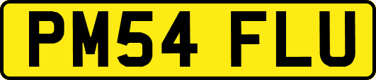 PM54FLU