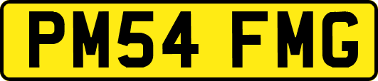 PM54FMG