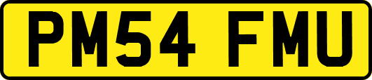 PM54FMU