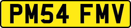 PM54FMV