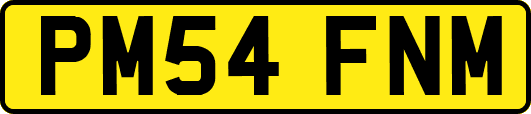PM54FNM