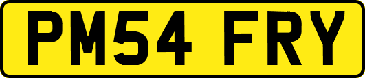 PM54FRY