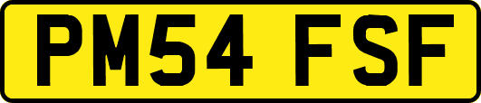 PM54FSF