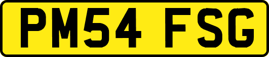 PM54FSG