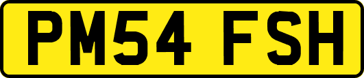 PM54FSH