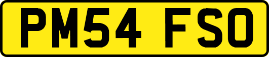 PM54FSO