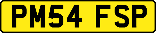 PM54FSP