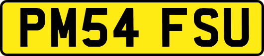 PM54FSU