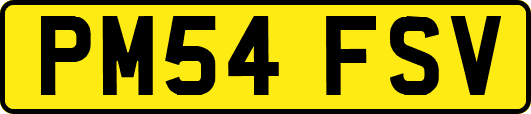 PM54FSV