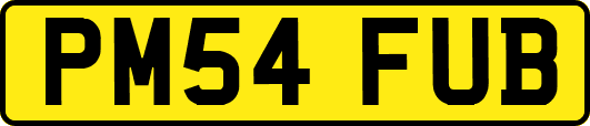 PM54FUB