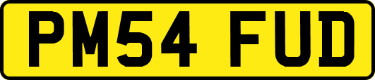 PM54FUD