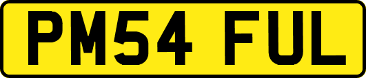 PM54FUL