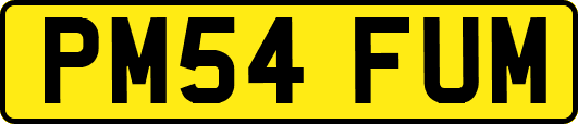 PM54FUM