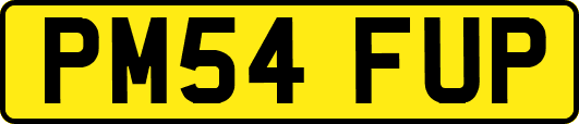 PM54FUP