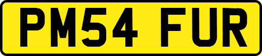 PM54FUR