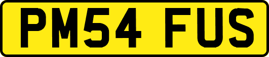PM54FUS
