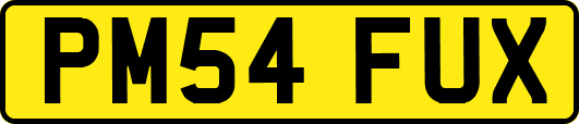 PM54FUX