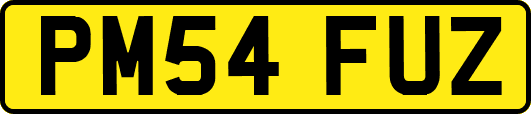 PM54FUZ