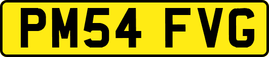PM54FVG