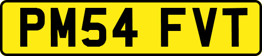 PM54FVT