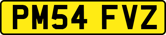 PM54FVZ